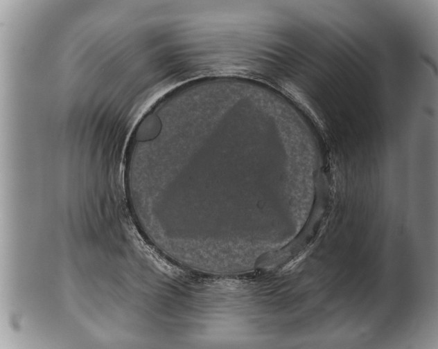 X0000100190932200806201354