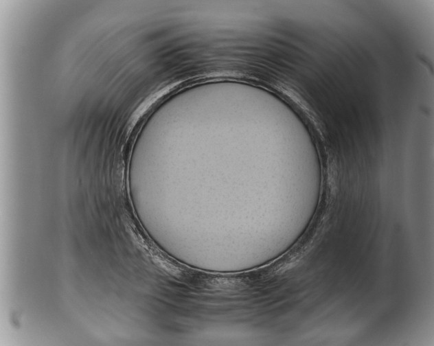 X0000100190933200806201354