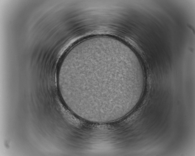 X0000100190934200806201354