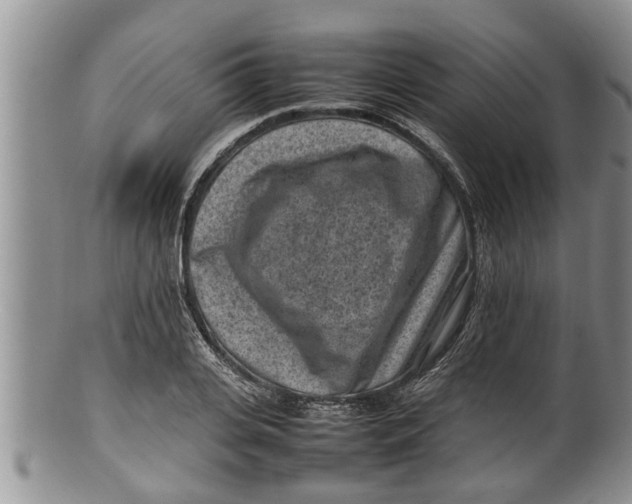 X0000100190935200806201354