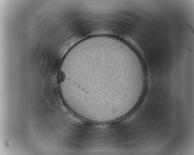 X0000100190937200806201354