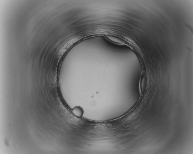 X0000100190938200806201354