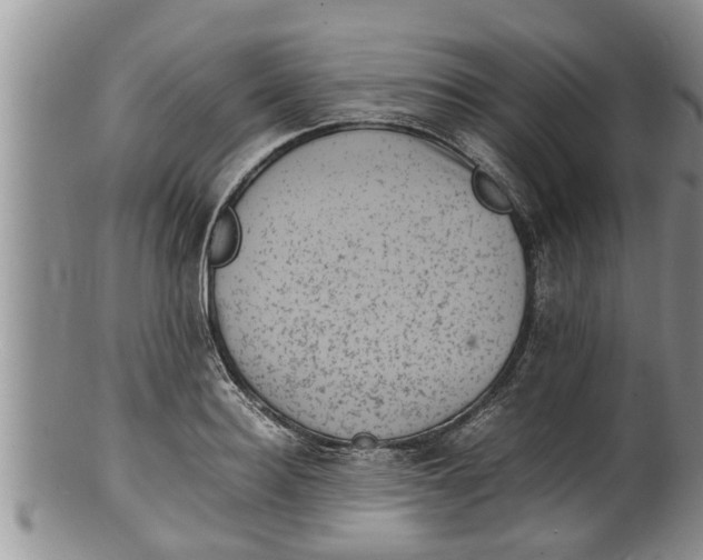X0000100190940200806201354