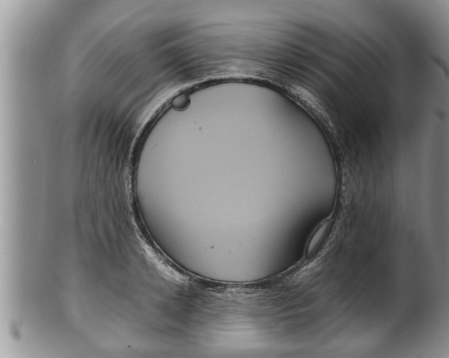 X0000100190942200806201354
