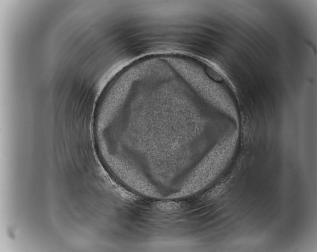 X0000100190943200806201354