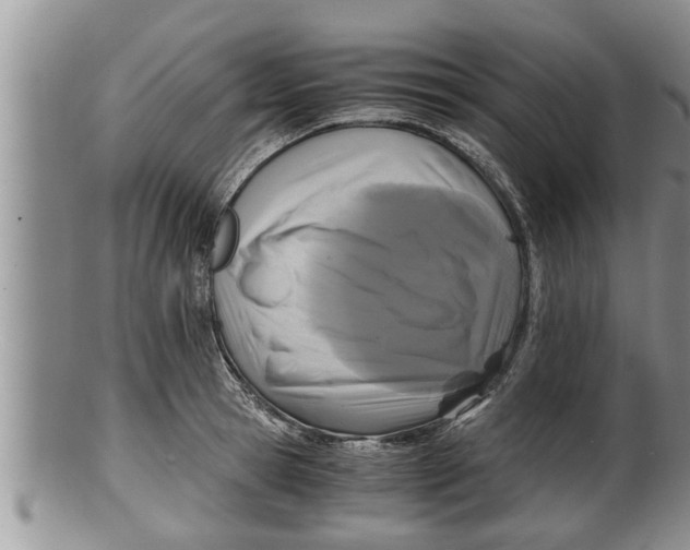 X0000100190945200806201354