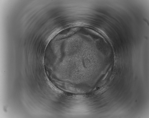 X0000100190946200806201354