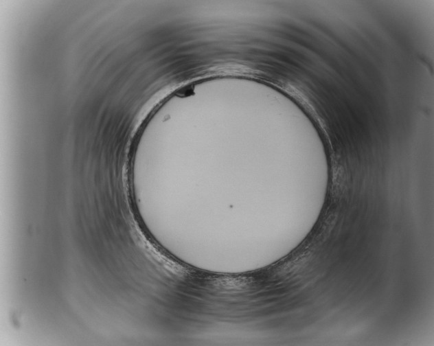 X0000100190947200806201354