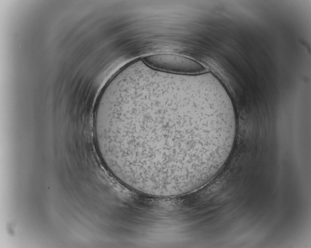 X0000100190948200806201354