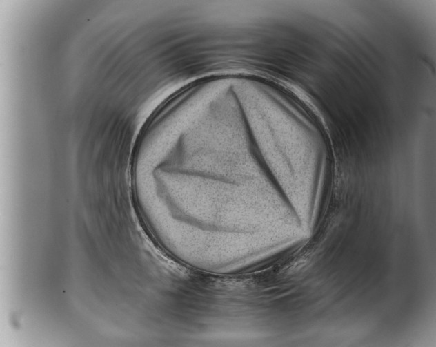 X0000100190951200806201354