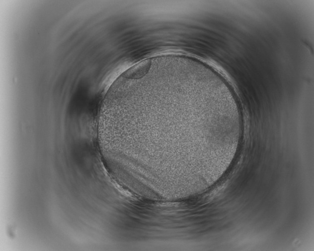 X0000100190953200806201354