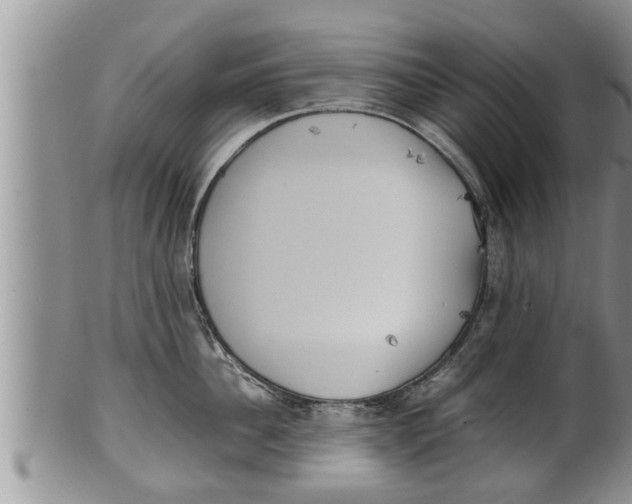 X0000100190956200806201354