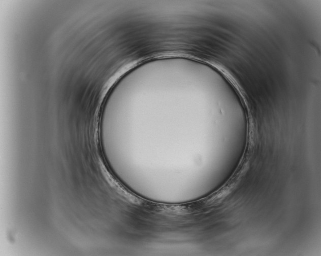 X0000100190957200806201354