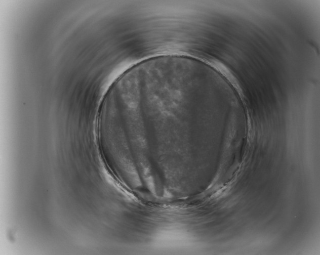 X0000100190958200806201354