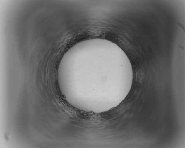 X0000100190961200806201354