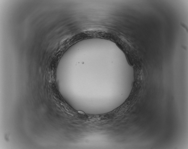 X0000100190965200806201354