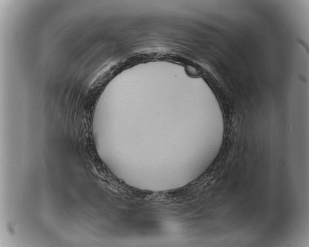 X0000100190967200806201354