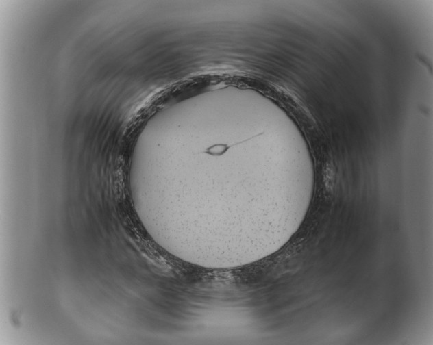 X0000100190968200806201354