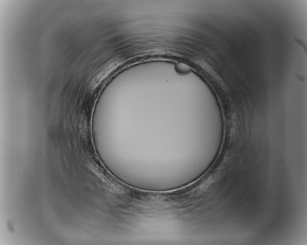 X0000100190969200806201354