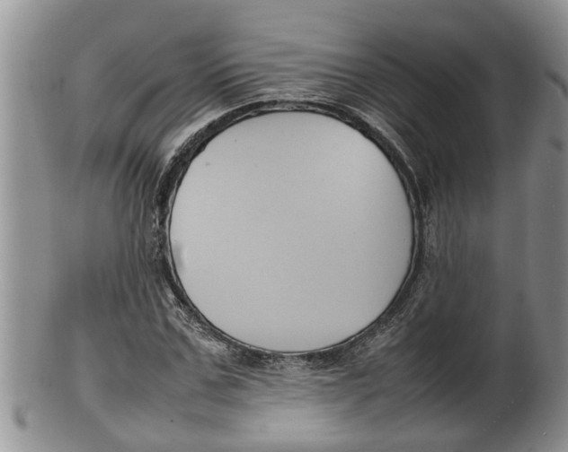 X0000100190971200806201354