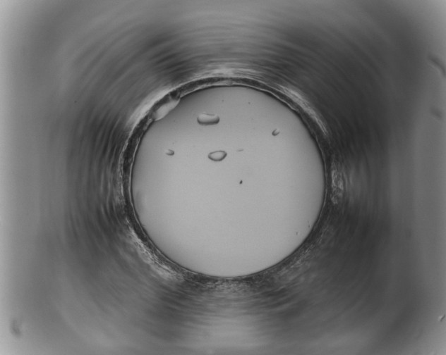 X0000100190972200806201354