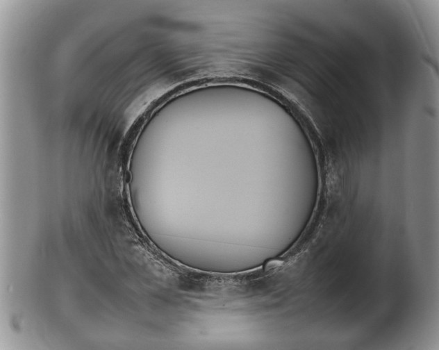 X0000100190973200806201354