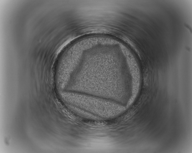 X0000100190975200806201354