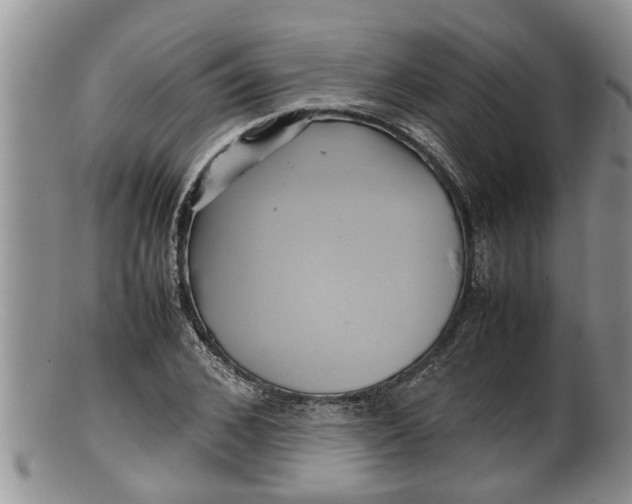 X0000100190976200806201354