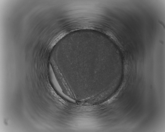 X0000100190977200806201354