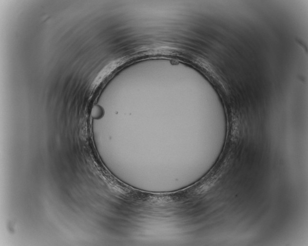 X0000100190978200806201354