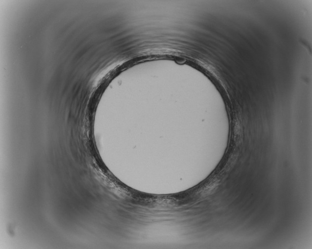 X0000100190979200806201354