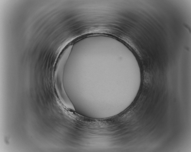 X0000100190980200806201354