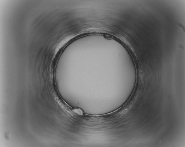 X0000100190981200806201354