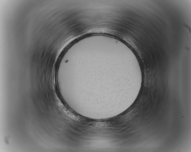 X0000100190984200806201354