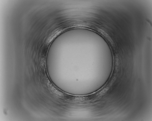 X0000100190985200806201353