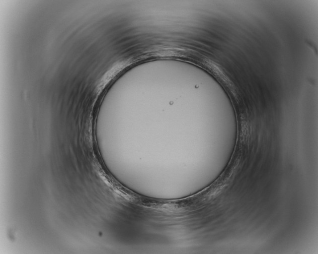 X0000100190986200806201353