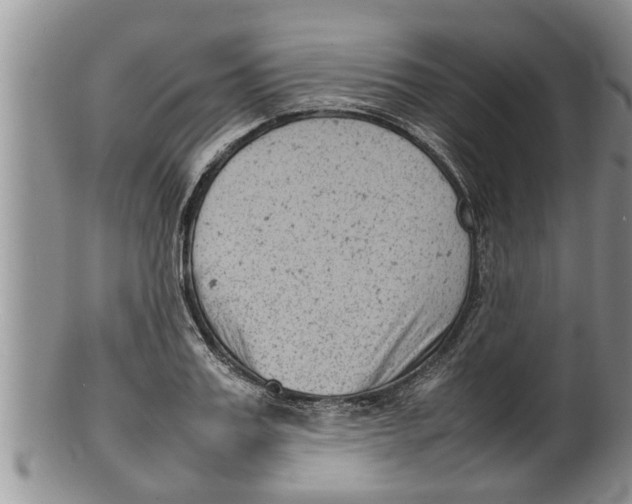 X0000100190987200806201353