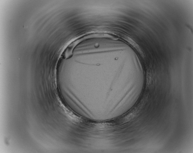 X0000100190988200806201353
