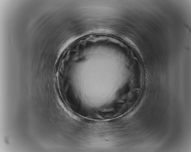 X0000100190989200806201353