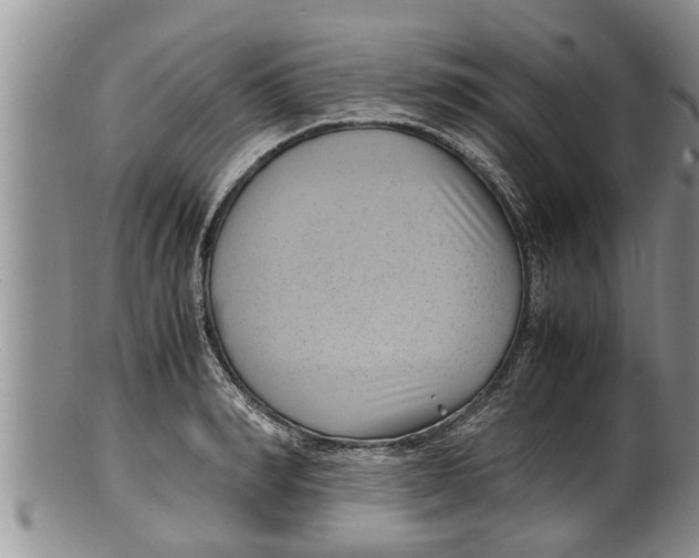 X0000100190990200806201353
