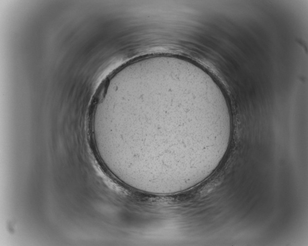 X0000100190991200806201353