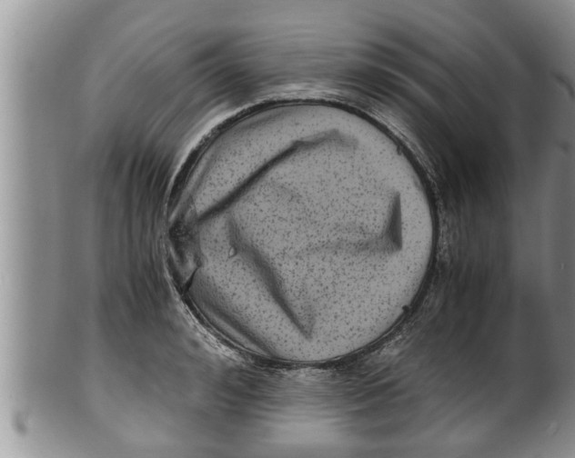 X0000100190992200806201353