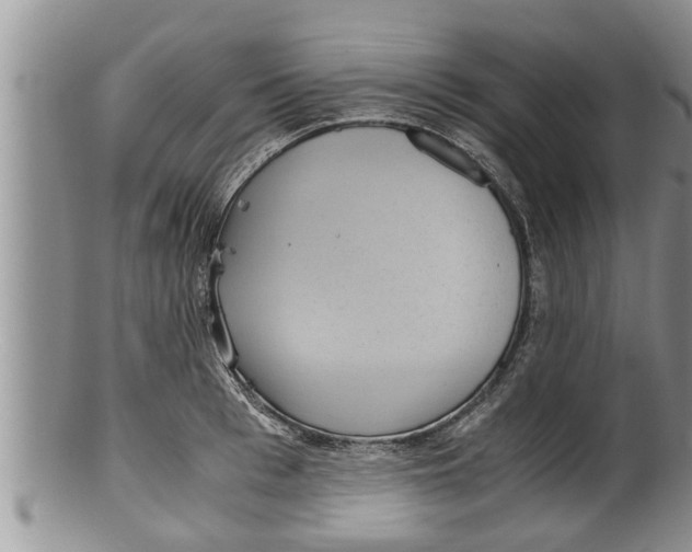 X0000100190993200806201353