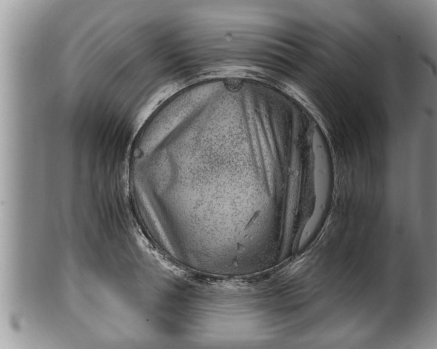 X0000100190994200806201353
