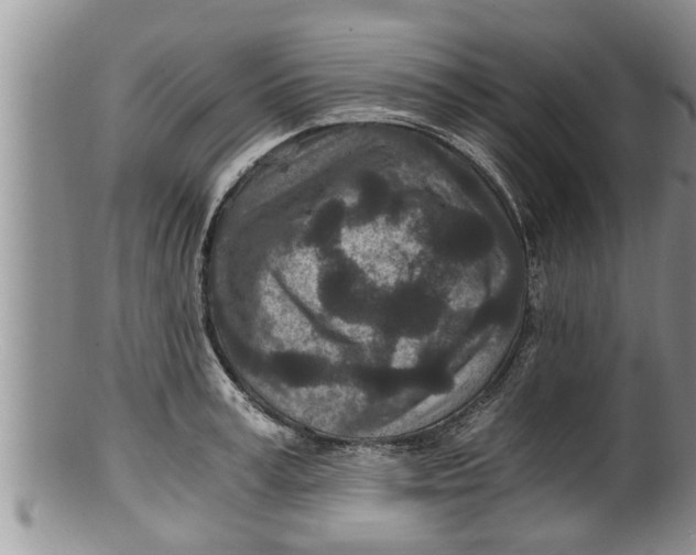 X0000100190995200806201353