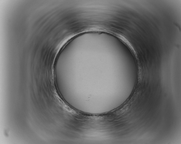 X0000100190996200806201353