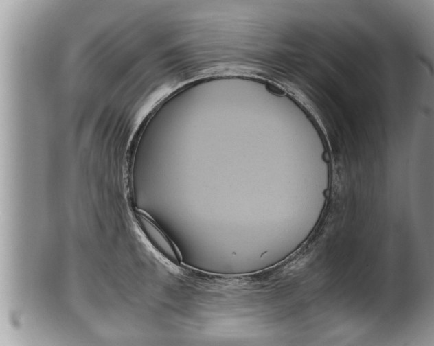 X0000100190997200806201353