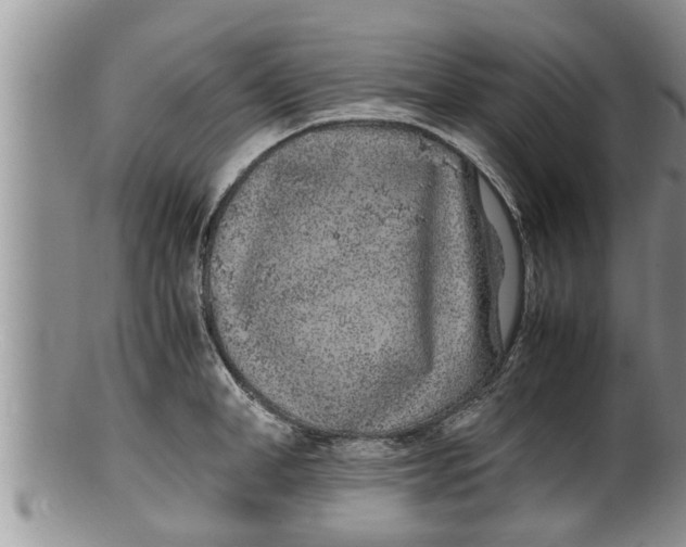 X0000100190998200806201353