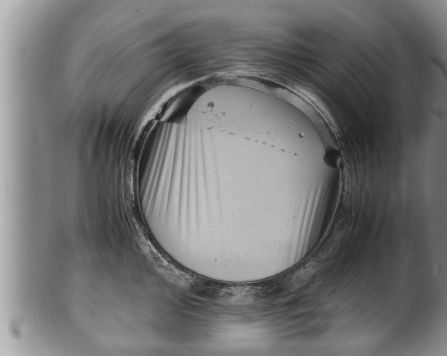 X0000100191000200806201353