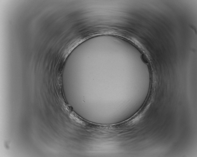 X0000100191001200806201353